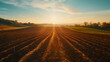 Sunset over a plowed agricultural field. 