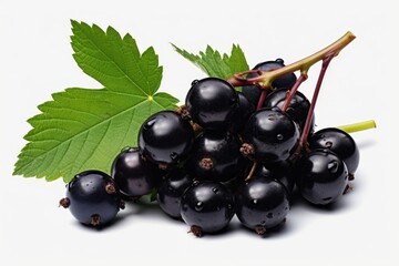 Fresh black currants with leaves, perfect for food and health-related designs