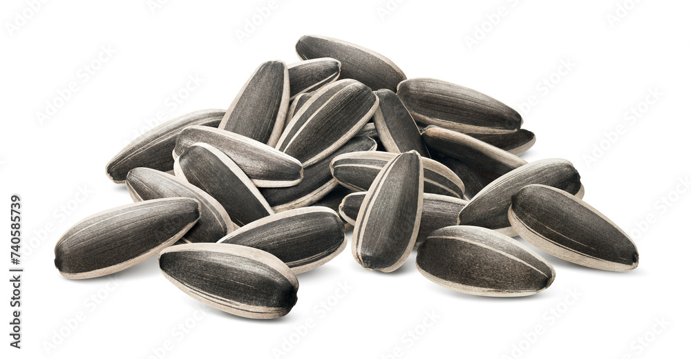 Big sunflower seeds pile with shadow isolated on white background Side Big sunflower seeds pile with shadow isolated on white background Side