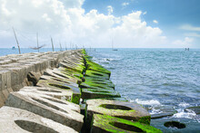 The Breakwater Covered With Green Moss Stretches Out To The Sea In Tam Giang Lagoon, Vietnam