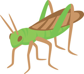Wall Mural - Insect grasshopper icon isometric vector. Creature natural. Verdant limb