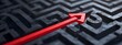 © Nemanja - Red arrow passing through a black labyrinth or maze walls, showing the way to solve a problem and to find a solution. Business career path concept, direction through the puzzle, exit strategy
