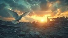 A White Dove Flying In Front Of A Ruined City At Sunset Or Sunrise, Symbolising Hope For Peace