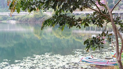 Wall Mural - Beautiful lake view with wooden fishing boats, the bridge and the water reflections. Part of The Baratan Lake with branches of the tree foreground as framing, Bedugul, Bali - Indonesia