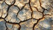 Cracked Dry Earth Texture for Environmental Awareness Backgrounds