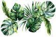 Watercolor  tropical leaves and jungle plants