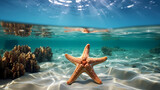 Fototapeta Morze - Starfish background, peaceful coast scene with gentle waves