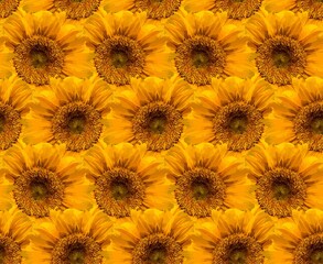 Poster - The seamless background with yellow sunflowers.
