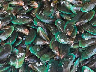 Canvas Print - close up green mussel in raw food market