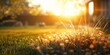 Sunlit meadow with delicate grass flowers capturing enchanting beauty of nature at sunset picturesque landscape bathed in golden sunlight perfect for illustrating and freshness of summer evening