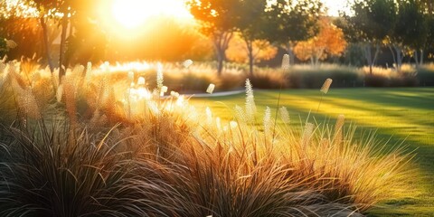 Wall Mural - Sunlit meadow with delicate grass flowers capturing enchanting beauty of nature at sunset picturesque landscape bathed in golden sunlight perfect for illustrating and freshness of summer evening