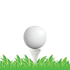 Wall Mural - Realistic Detailed 3d White Golf Ball on Tee and Green Field Line Isolated on a Background. Vector illustration of Golf Club Concept Sport