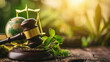 Mallet of justice, gavel and green plant on wooden table