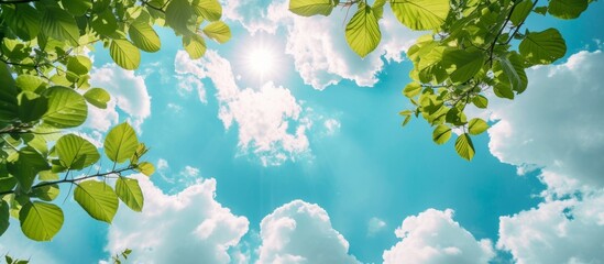 Poster - Sunlight filtering through vibrant green leaves of a tree in the morning