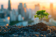 Young tree growing in soil against city backdrop