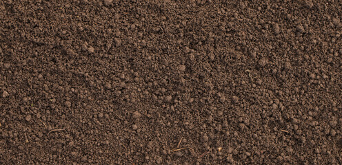 Wall Mural - loosened soil as a background. brown ground surface