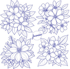 Wall Mural - Jasmine set coloring page and outline vector