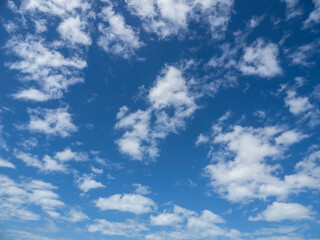 Wall Mural - blue sky with white clouds over southwest florida usa