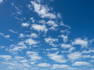 Wall Mural - blue sky with white clouds over southwest florida usa
