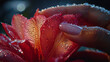 A young woman's fingertips delicately trace the surface of a dew-kissed flower petal, the tactile moment captured in exquisite detail by a Sony digital HD camera.