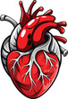 Red anatomic heart illustration