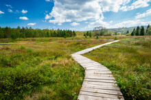 Tarnawa Peat Bog. Boardwalk Across Peatland Bog Habitat, Tarnawa Wyzna, Bieszczady, Outer Eastern Carpathians, Poland, Sunny Day, Beautiful Landscape