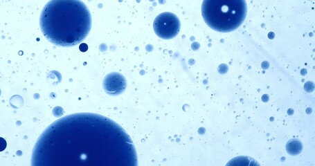 Wall Mural - slow motion macro of floating micro particles molecules in liquid are analyzed with microscope by ch