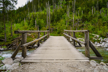 hiking path and wooden bridge in the Polish Tatras near Zakopane