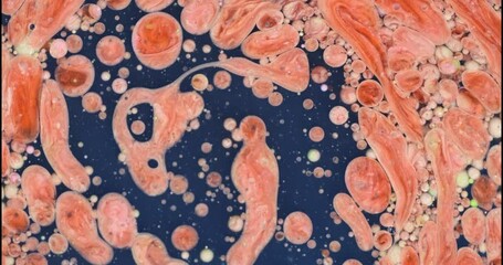 Wall Mural - slow motion macro of floating micro particles molecules in liquid are analyzed with microscope by ch