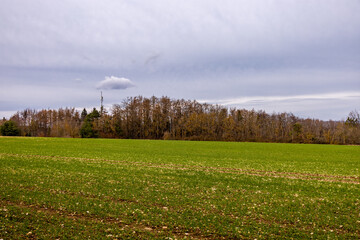 Wall Mural - Frühlingshafte Wanderung entlang der Ilm bei Bad Berka bei herrlichen Sonnenschein - Thüringen - Deutschland