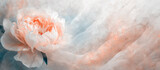 Fototapeta Kwiaty - Piękny kwiat piwonii, wzór kwiatowy, pastelowe tło, puste miejsce	