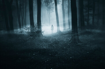 Wall Mural - mysterious man silhouette in scary forest at night, dark fantasy landscape