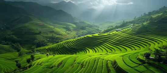 Wall Mural - Scenic Large Green Field Landscape Under Sunny Sky, Natural Outdoor Environment Concept