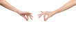 Two sides of female hand in a holding position by joining the thumb and index finger, isolated on transparent background, png file