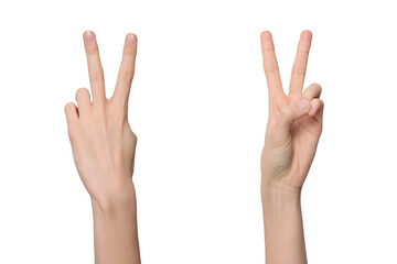 Wall Mural - Two sides of female hands showing a V-sign by sticking up first two fingers in a V shape, as a sign of victory, isolated on transparent background, png file