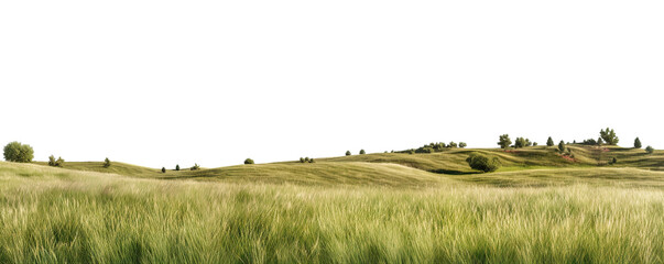Wall Mural - Rolling green hills adorned with lush trees, cut out