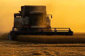 Combine harvester on the field at sunset