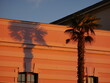 Shadows from palm trees on the facade of a building in the rays of the sun