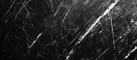 Poster - A monochrome photograph capturing the intricate pattern of a marble texture, reminiscent of a dark forest floor covered with twigs and terrestrial plants