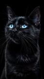 Fototapeta Pokój dzieciecy - Beautiful black cat with blue eyes on a black background, Close-up. AI generated.