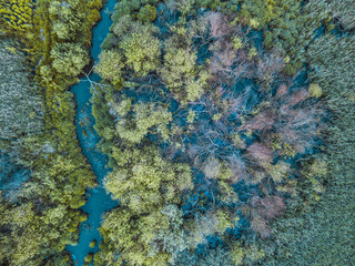 Poster - Drone view of the riverbed - Dobrzynka river in Pabianice City - Poland