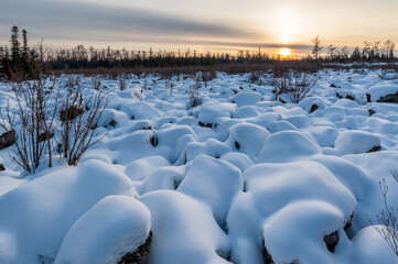 Wall Mural - Snow view in Red Star Geopark, Yichun City, Heilongjiang province, China.