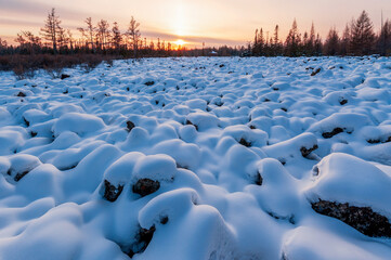 Wall Mural - Snow view in Red Star Geopark, Yichun City, Heilongjiang province, China.