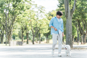 Poster - 犬の散歩をする愛犬家の中高年男性・運動・ドッグセラピー
