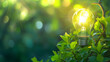 Green Energy Concept with Light Bulb and Leaves. A light bulb glowing with green leaves inside it, beautifully blending with natural foliage in the background, illustrates the concept of green energy 
