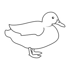 Poster - Duck outline simple icon duck water bird continuous line art vector drawing of vector illustration. 