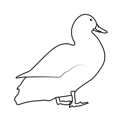Poster - Duck outline simple icon duck water bird continuous line art vector drawing of vector illustration. 