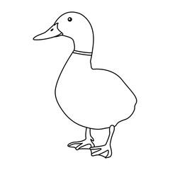 Poster - Duck outline simple icon duck water bird continuous line art vector drawing of vector illustration. 