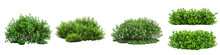 Green Garden Bushes Hyperrealistic Highly Detailed Isolated On Transparent Background Png File