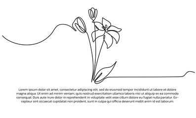 Wall Mural - One line lily flower poster drawing with a beautiful frame. Abstract minimal continuous line wall decor.